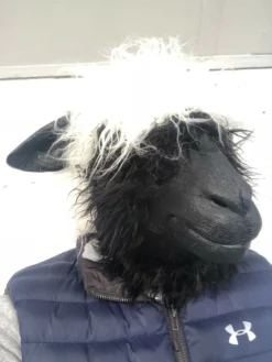 Rubber Johnnies Woolly Sheep Head Mask.