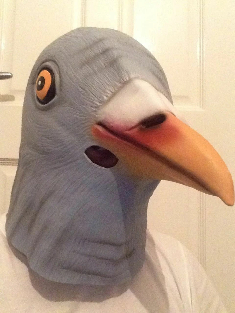 Rubber Johnnies Animal Masks Pigeon Mask 7 Rubber Johnnies Animal Masks Pigeon Mask