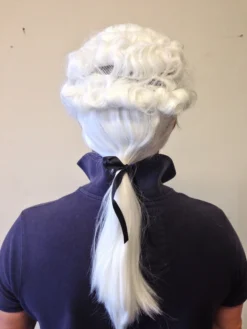 Rubber Johnnies Judge Wig