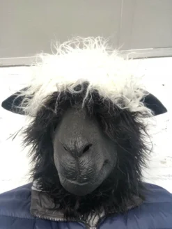 Rubber Johnnies Woolly Sheep Head Mask.