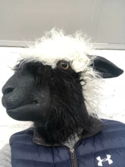 Rubber Johnnies Woolly Sheep Head Mask.