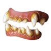 Dental Distortions Bad Moon Werewolf FX Teeth