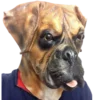 Rubber Johnnies Animal Masks Boxer Dog Mask