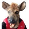 Rubber Johnnies Hyena Mask Animal Masks 2 Rubber Johnnies Hyena Mask Animal Masks