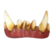 Dental Distortions Troll FX Teeth