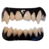 Dental Distortions Darkness FX Teeth
